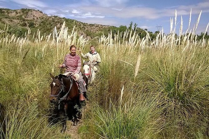 Cabalgata Criolla – Medio Día desde Mendoza - Imagen 4