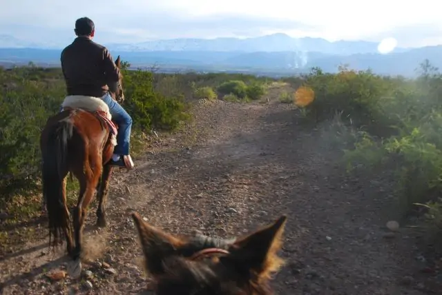 Cabalgata Criolla – Medio Día desde Mendoza - Imagen 2