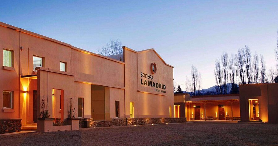 Wine Tour Grupal Vempra – Luján de Cuyo - Imagen 2