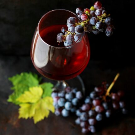 Bodega de vino malbec Mendoza viñedos